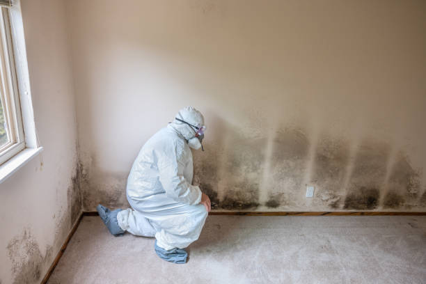 Best Air Quality Testing for Mold Spores  in Ruthers, CA